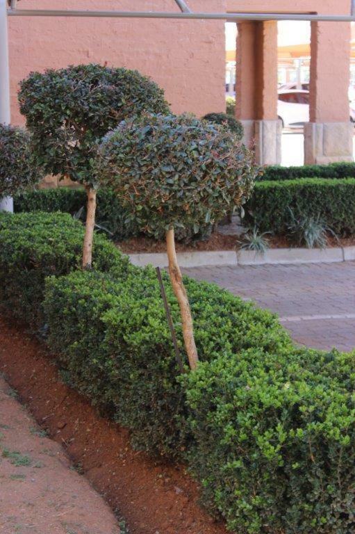 Apartament Reliwave Pty Ltd Bloemfontein Zewnętrze zdjęcie